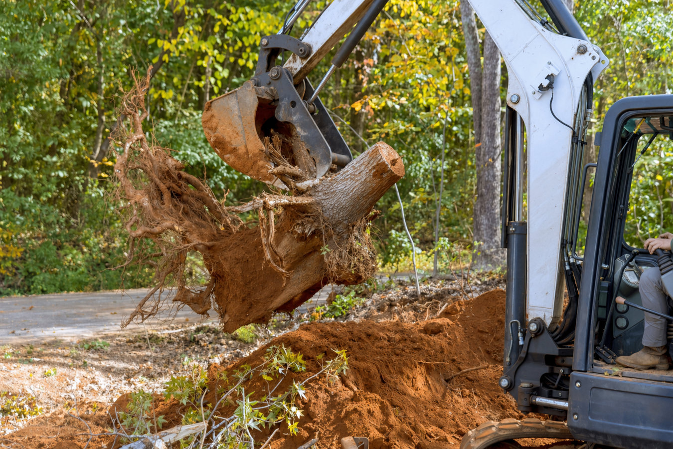 Land clearing